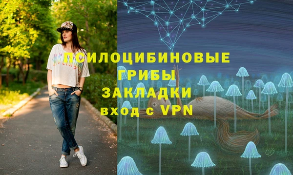 бошки Алзамай