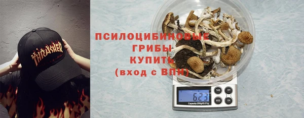 бошки Алзамай