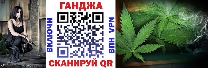 Конопля сатива  как найти   Бакал 